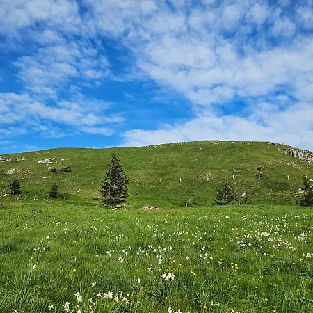Appartamento La Taniere Du Phoenix
