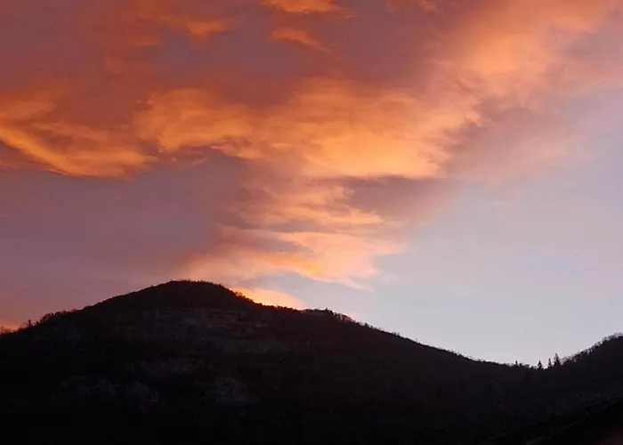 La Taniere Du Phoenix